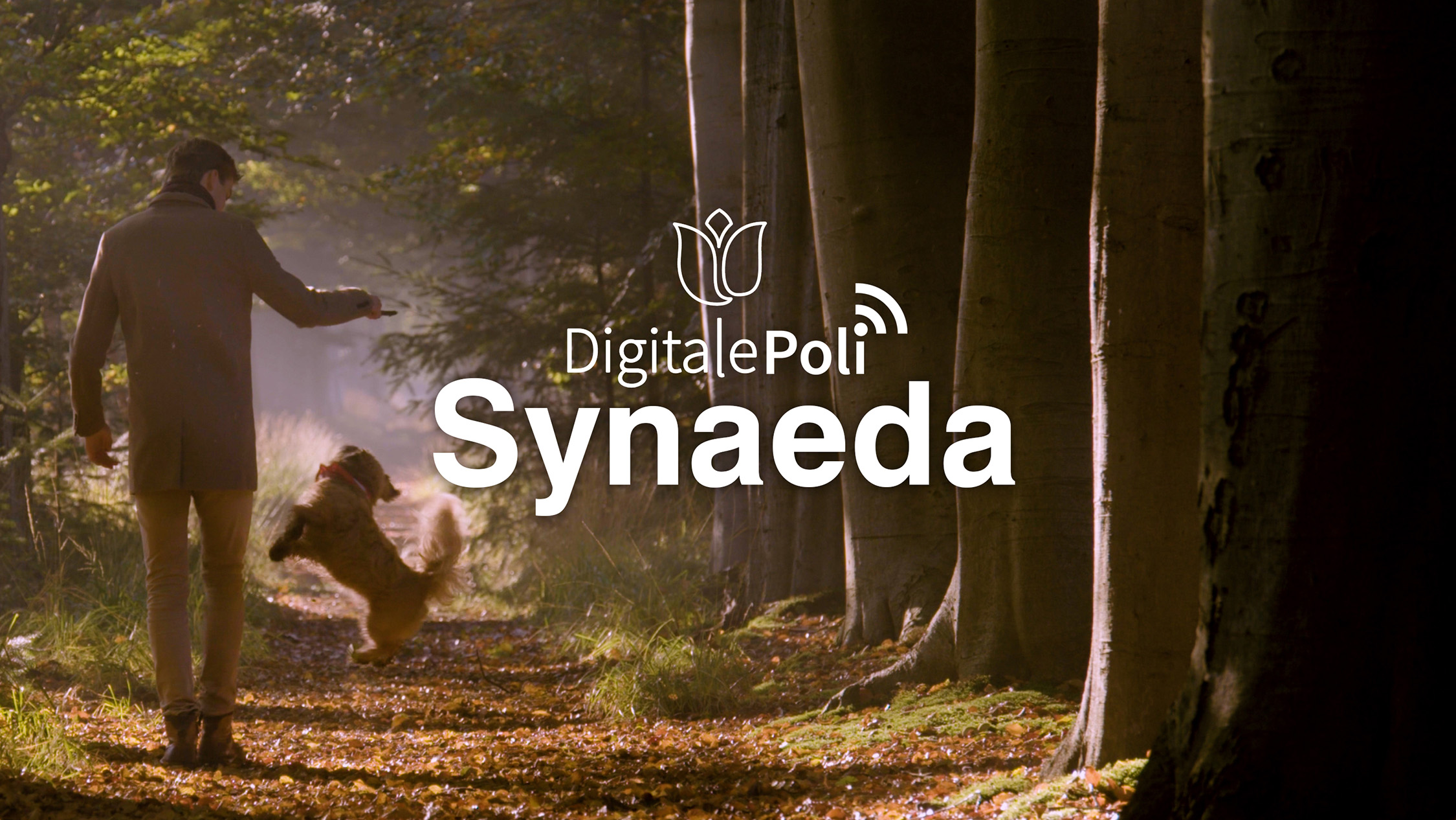 Patiëntervaringen met online behandelingen bij de Digitale Poli van Synaeda